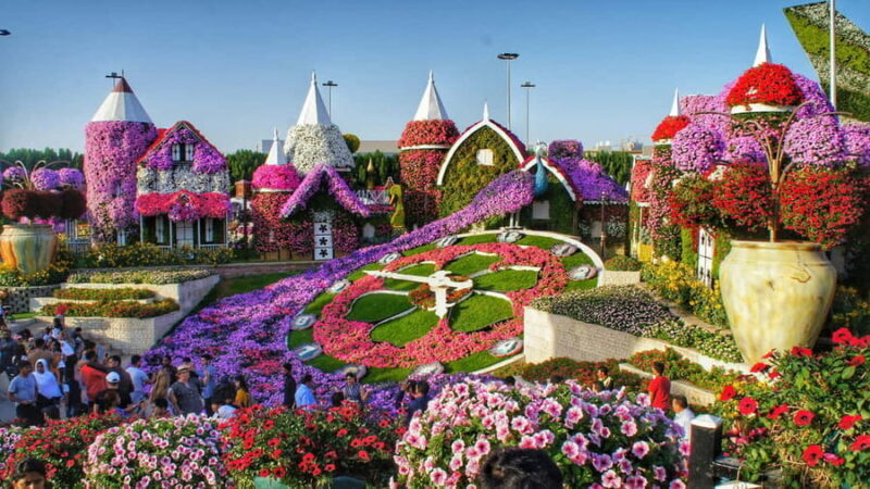 Dubai: Private Dubai Flora and Fauna Trip - Final Thoughts
