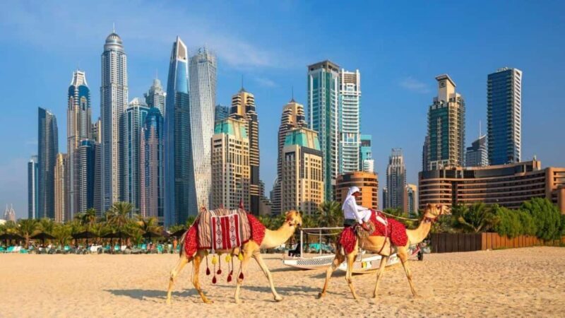 Dubai: Private & Flexible Full-Day City Tour with Local - The Experience: What to Expect on the Day