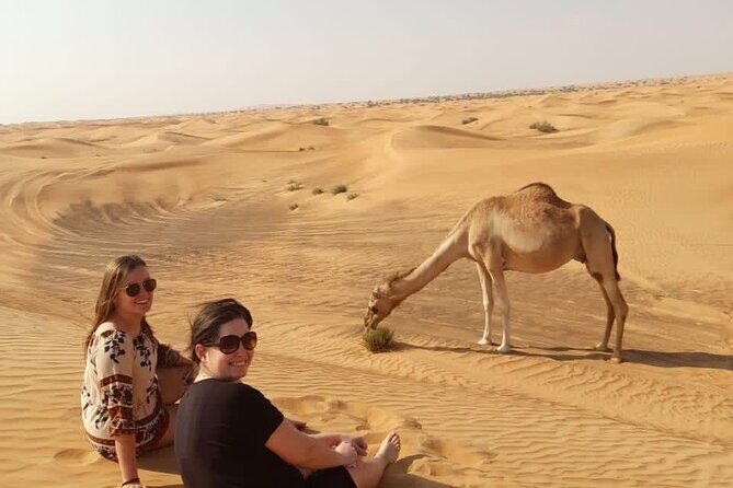 Dubai Private Morning Desert Safari: Camel Ride & Sandboarding - The Sum Up