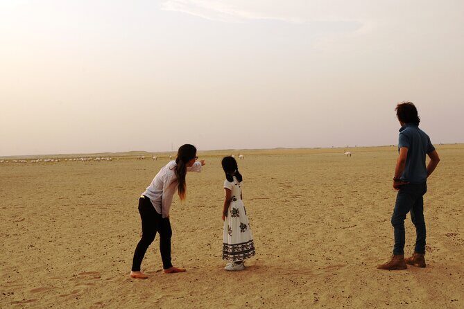 Dubai Private Sunset Desert Drive with Wildlife Experience - FAQ: Your Practical Questions Answered