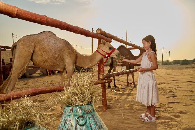 Dubai Private VIP Desert Dinner and Live Entertainment Show - FAQ
