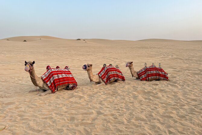 Dubai Red Desert Safari on Private 4x4, Sand Boarding, Camel 4hrs - Return and Reflection