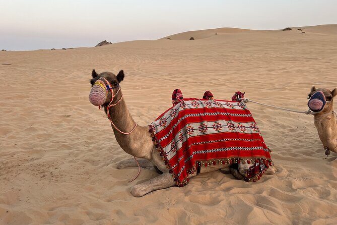 Dubai Red Desert Safari on Private 4x4, Sand Boarding, Camel 4hrs - Practical Tips