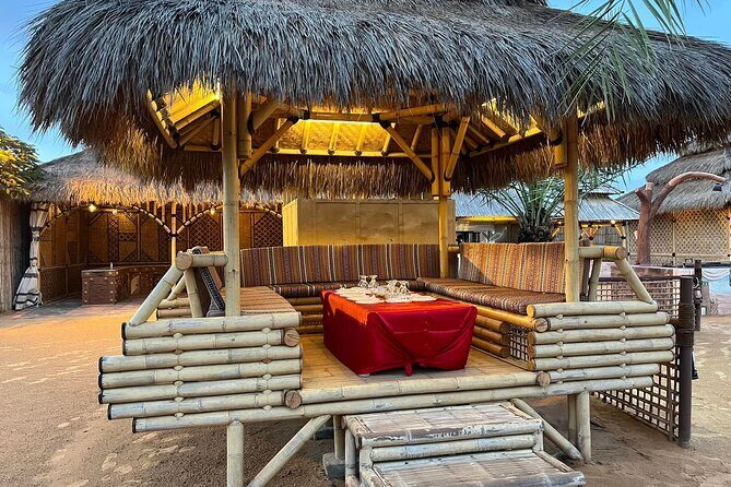 Dubai Red Desert Safari sharing basis with Camel, Shows & Dinner - Who Would It Suit?