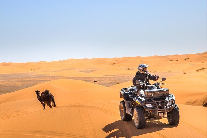 Dubai Red Dune Safari, ATV Quadbiking 10 mins, BBQ, shows - Who Should Book This Tour?