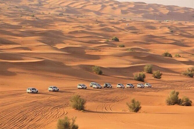 Dubai Red Dunes ATV, Camels, Stargazing & 5* BBQ - Exploring the Itinerary: What You Can Expect