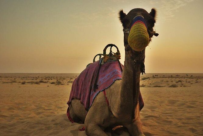 Dubai Red Dunes Safari - Transportation, Duration, and Value