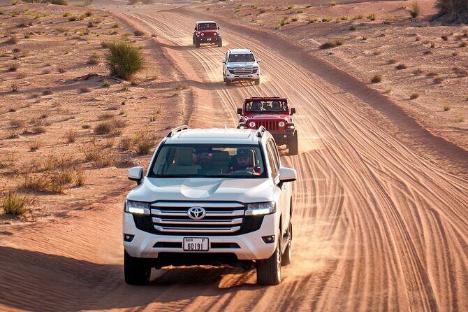 Dubai Red Dunes Safari: Dune Bashing, Camel Ride & Breakfast - An Overview of the Experience