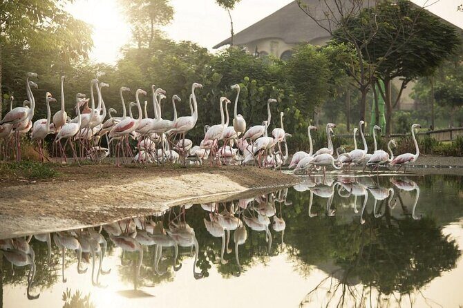 Dubai Safari Park - Who Will Love Dubai Safari Park?
