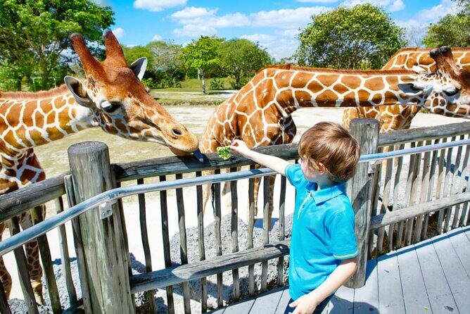 Dubai Safari Park - FAQs about Dubai Safari Park