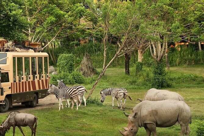 Dubai Safari Park - The Value and Price