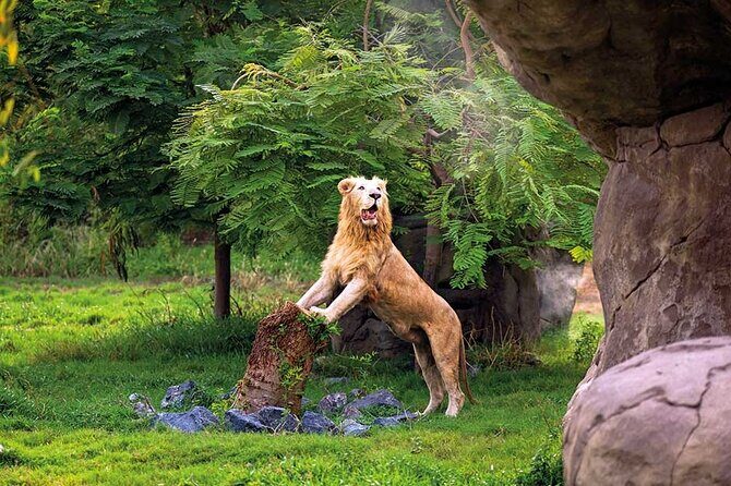 Dubai Safari Park - Who Will Love This Tour?
