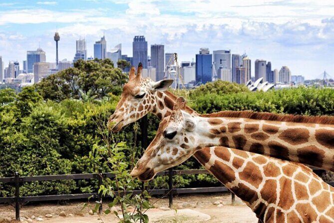 Dubai Safari Park - The Sum Up: Is Dubai Safari Park Worth It?
