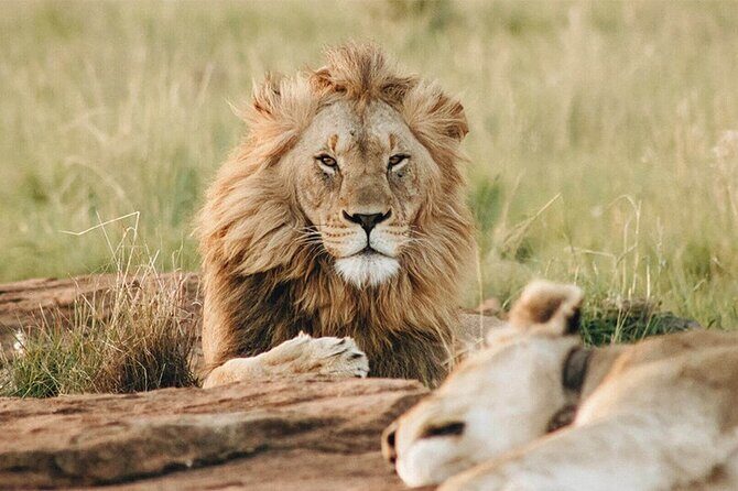 Dubai Safari Park Tickets with Options - What Makes Dubai Safari Park a Worthwhile Stop