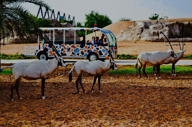 Dubai Safari Park Visit with Hotel Pickup and Drop-off - Who Is This Tour Best Suited For?