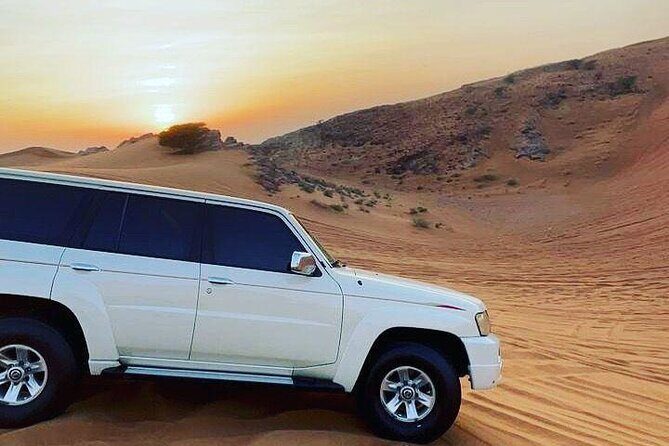Dubai: Safari With Live BBQ Dinner, Camel Ride ,Live Performances - Final Thoughts
