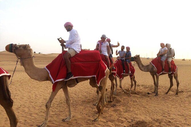 Dubai: Sandboarding, Camel Ride and Red Dune Bashing Safari - Pricing and Value