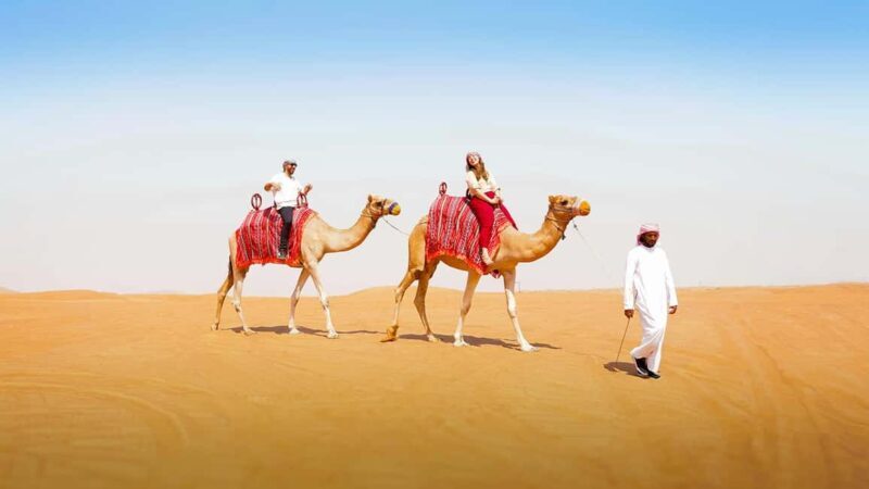 Dubai: Sandboarding, Camel Ride and Red Dune Bashing - Practical Tips for Participants