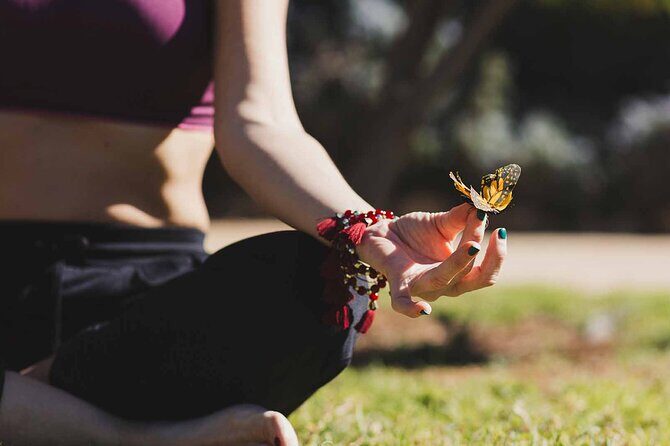 Dubai: Skip-The-Line Ticket to Butterfly Garden - FAQ