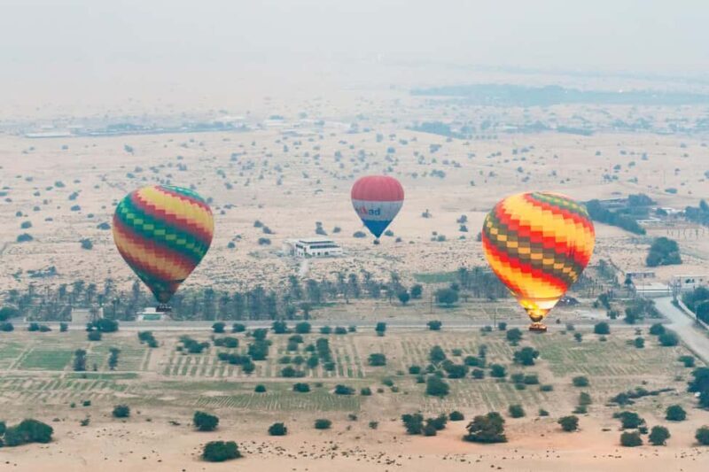Dubai: Sunrise Balloon Flight with Camel Ride & Breakfast - Who Will Love This Tour?
