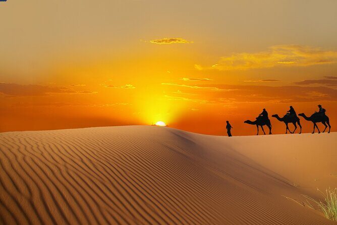 Dubai Sunrise Desert Safari - A Detailed Look at the Dubai Sunrise Desert Safari