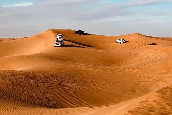 Dubai Sunrise Desert Safari Red Dune Camel Falcon & Sandboarding - Key Points