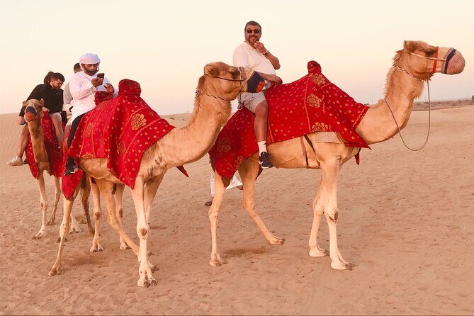 Dubai Sunrise Desert Safari Red Dune Camel Falcon & Sandboarding - The Sum Up