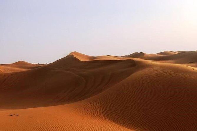 Dubai Sunrise Desert Tour - An In-Depth Look at the Dubai Sunrise Desert Tour