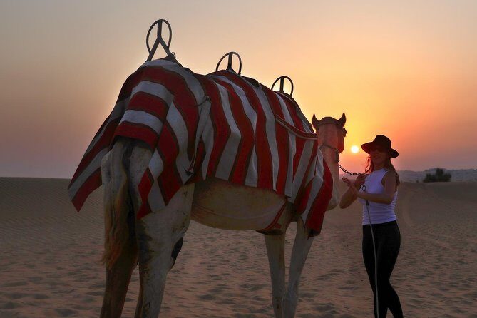 Dubai Sunset Camel Trekking With BBQ Dinner at VIP Camp - The Itinerary in Detail