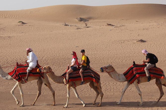 Dubai Sunset Camel Trekking With BBQ Dinner at VIP Camp - The Sum Up