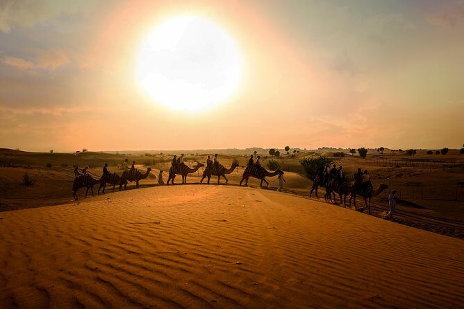 Dubai Sunset Camel Trekking With BBQ Dinner - Who Will Love This Tour?