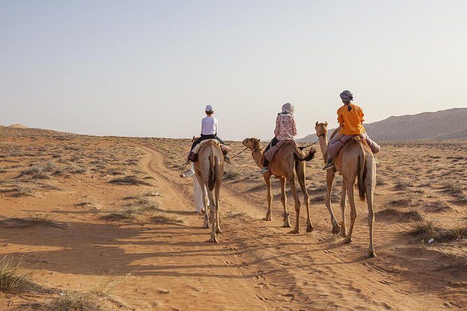 Dubai Sunset Camel Trekking with Shows & BBQ Dinner - FAQ
