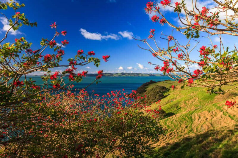 Duder Regional Park Walking Tours - An Authentic Look at Duder Regional Park Walking Tours