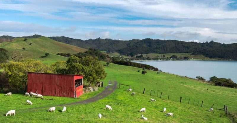 Duder Regional Park Walking Tours - Educational Component and Conservation Focus