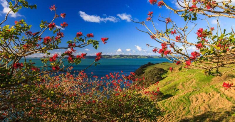 Duder Regional Park Walking Tours - Practical Details and Value
