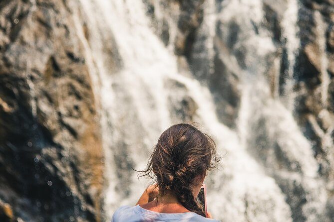 Dudhsagar waterfall wildlife & spice plantation Tour in Goa - An Overview of the Tour Experience