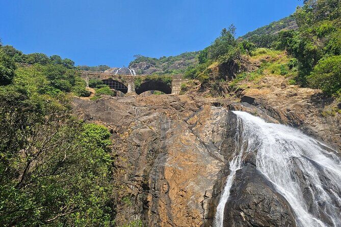 Dudhsagar Waterfalls, Jeep Safari & Spice Plantation private tour - Experience the Best of Goa’s Nature with the Dudhsagar Waterfalls, Jeep Safari & Spice Plantation Tour