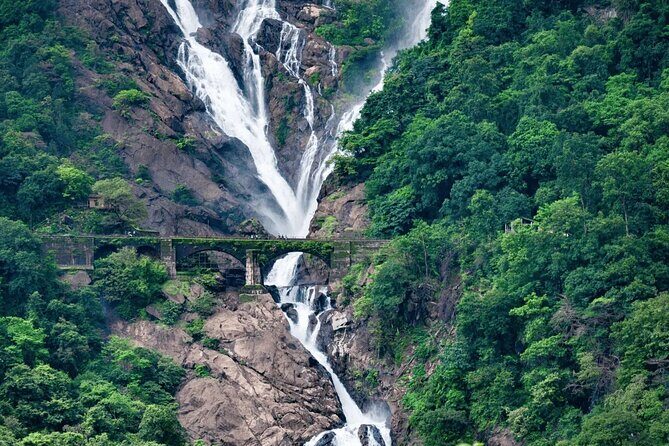 Dudhsagar Waterfalls, Jeep Safari & Spice Plantation private tour - Key Points
