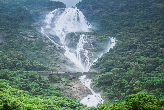 Dudhsagar Waterfalls, Jeep Safari & Spice Plantation private tour - Who Would This Tour Suit Best?