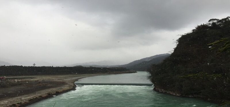 Dujiangyan panda base and irrigation system park day tour - A Detailed Look at the Experience
