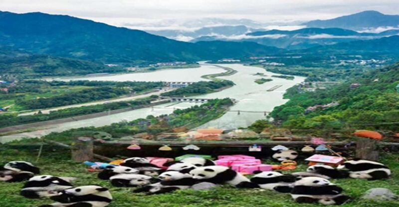 Dujiangyan panda base and irrigation system park day tour - Final Thoughts