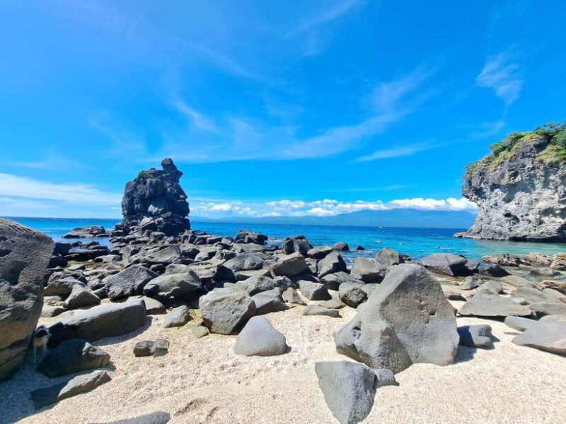 Dumaguete: Apo Island Snorkeling and Hiking Joiners Tour - Discovering Apo Island: Why It’s Special