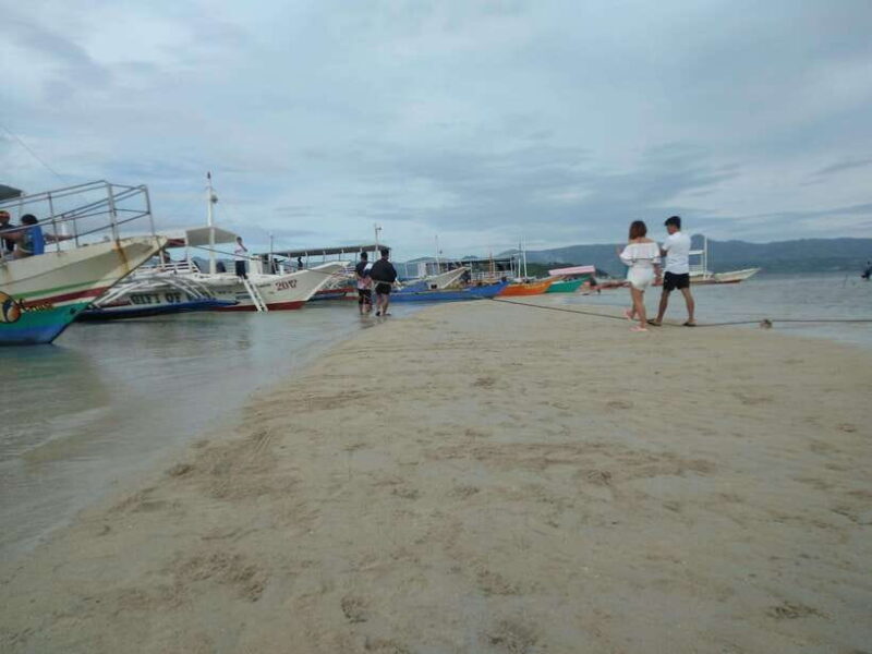 Dumaguete: Dolphin Watching & Manjuyod Sandbar Private Tour - Frequently Asked Questions