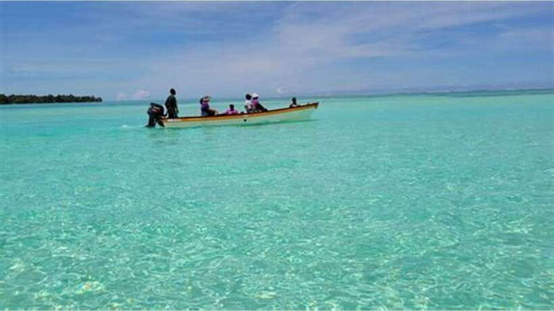 Dumaguete Manjuyod sand bar & Dolphin Watching - A Deep Dive into the Experience