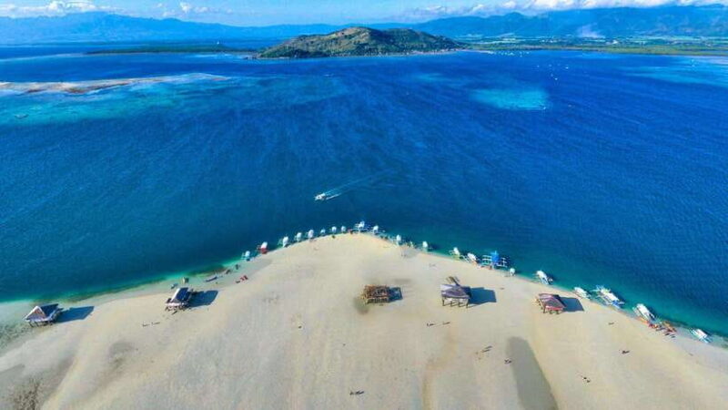 Dumaguete Manjuyod sand bar & Dolphin Watching - Is This Tour Right for You?