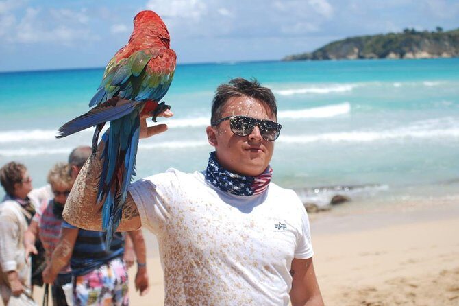 Dune Buggy Adventure by Caribbean Tour Service - Who Will Love This Tour?