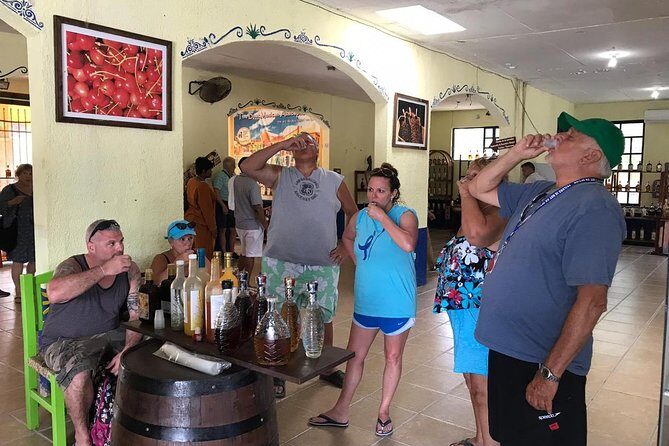 Dune Buggy Adventure, Snorkel, Mayan Town, East Coast, Tequila and City Tour - Final Thoughts