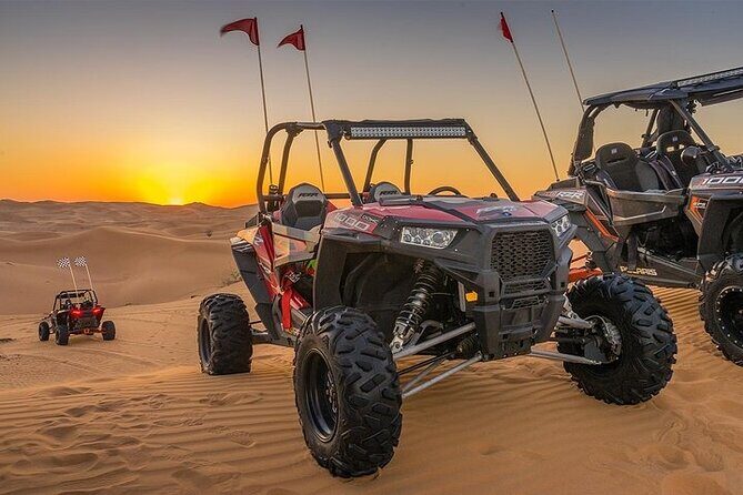 Dune Buggy Tour In Dubai With Private Pickup and Drop Off - Final Thoughts: Who Is This Tour Perfect For?