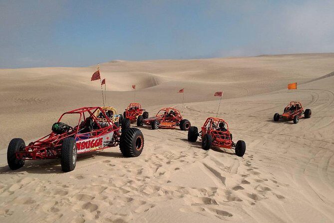 Dune Buggy, UTV or ATV Experience at Pismo Beach - Value and Pricing