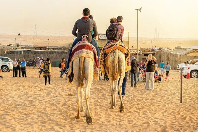 DuneBashing, CamelRide & ATV Bike Desert Safari Experince in Doha - The Itinerary: What to Expect During Your Day
